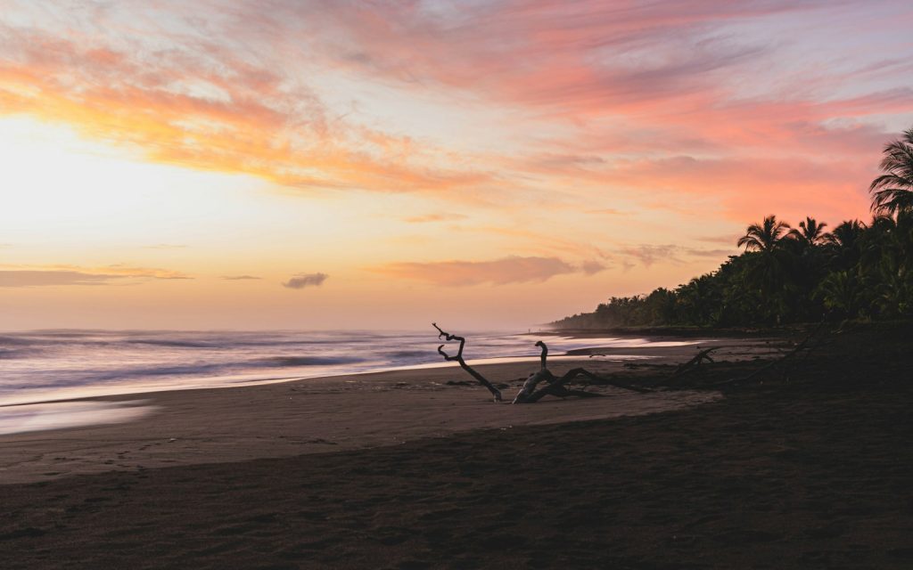 Tortuguero