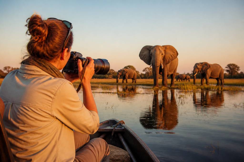 Photo safari au Botswana : préparer un voyage inoubliable pour photographes